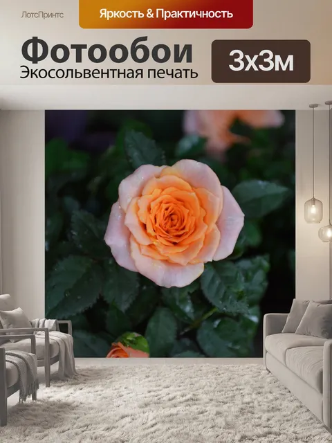 Фотообои Только Peachy
