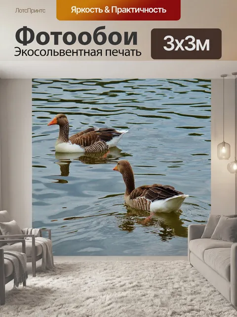 Фотообои Гуси
