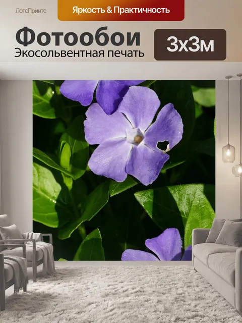 Фотообои Пейзаж