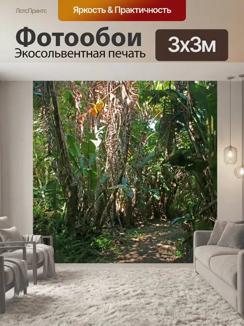 Фотообои путь в тропическом лесу