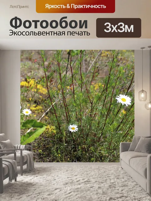 Фотообои Цветы