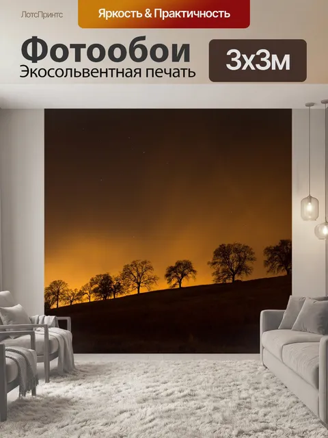 Фотообои Деревья