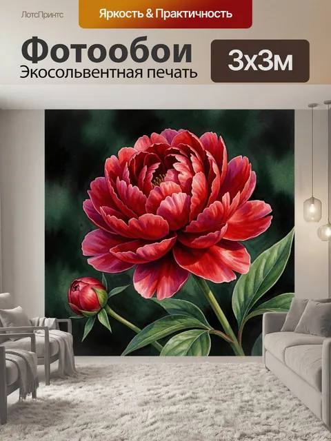 Фотообои Красный пион на темном фоне