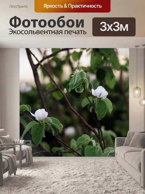 Фотообои айва цветет