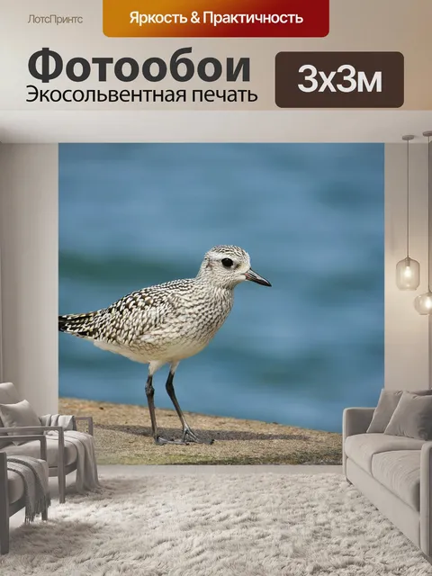 Фотообои Животное