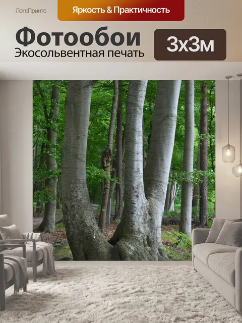 Фотообои Дерево