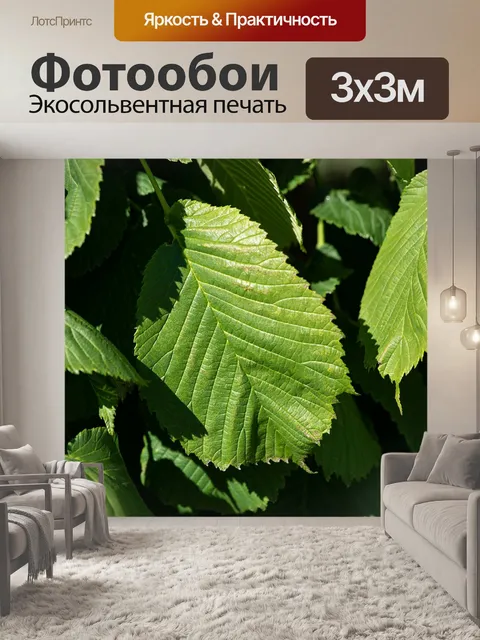 Фотообои Листья