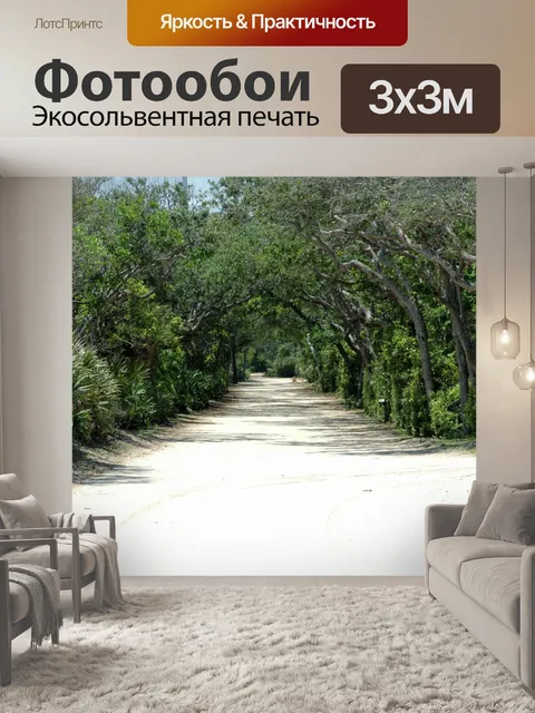 Фотообои Гамак деревья