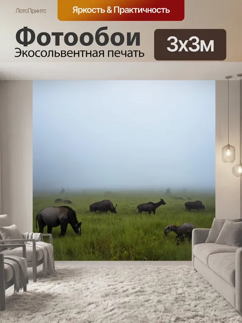 Фотообои туман, туманные пейзажи с дикими животными, скрывающимися в мягком тумане