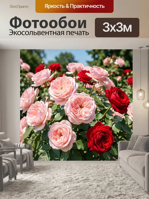 Фотообои Розовый сад с красными розами