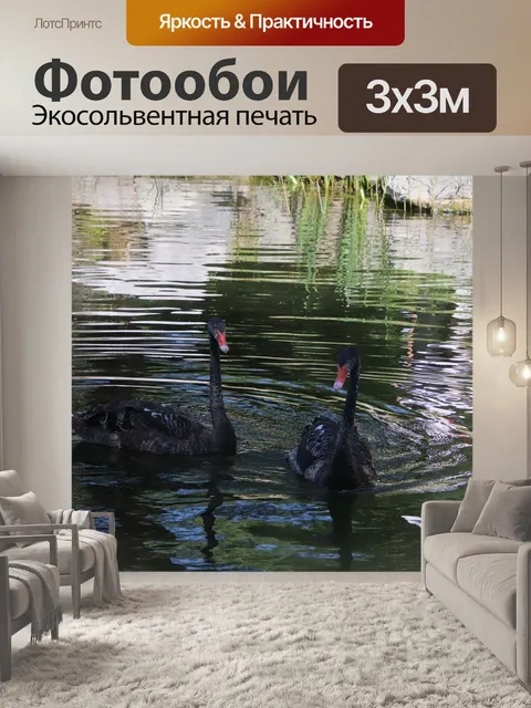 Фотообои Лебеди