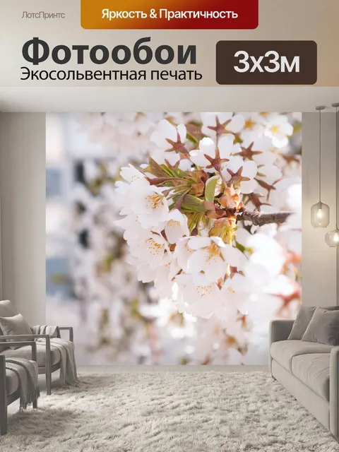 Фотообои Белые цветки