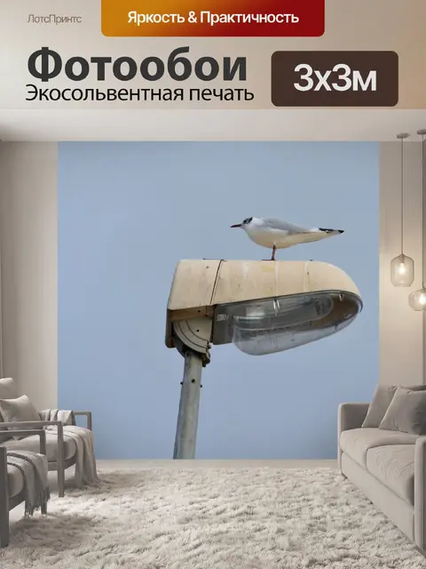 Фотообои Чайка на фонарном столбе