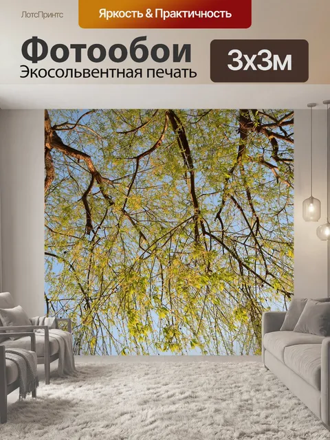 Фотообои Дерево
