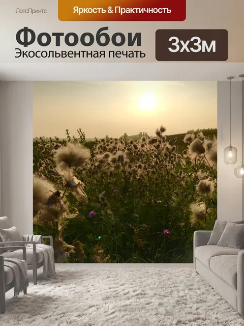 Фотообои Закат