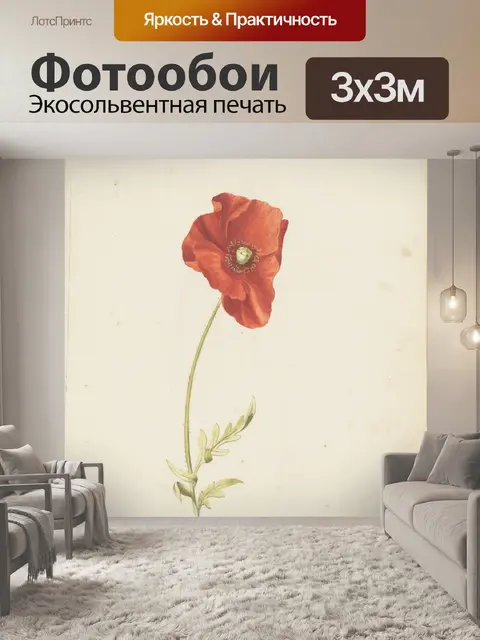 Фотообои Цветок мака Папавовые