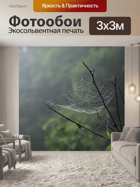 Фотообои Паутина