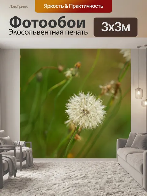 Фотообои Цветок одуванчика и его цветочные головк