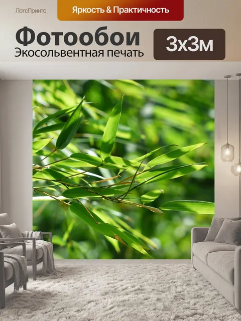 Фотообои Бамбук