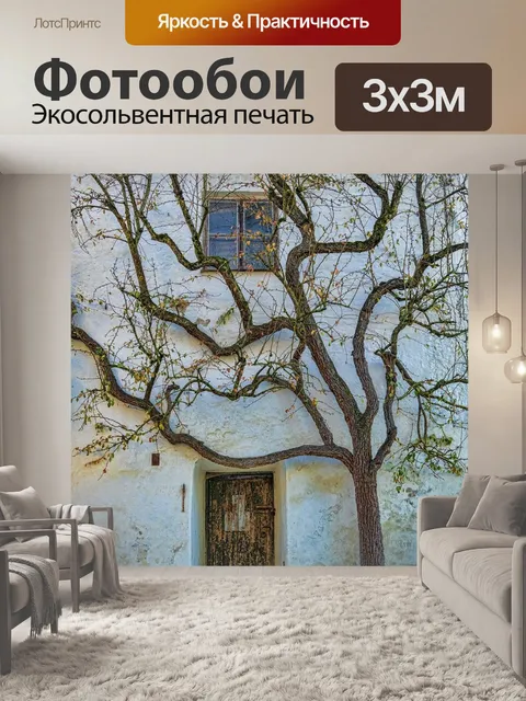 Фотообои Дверь
