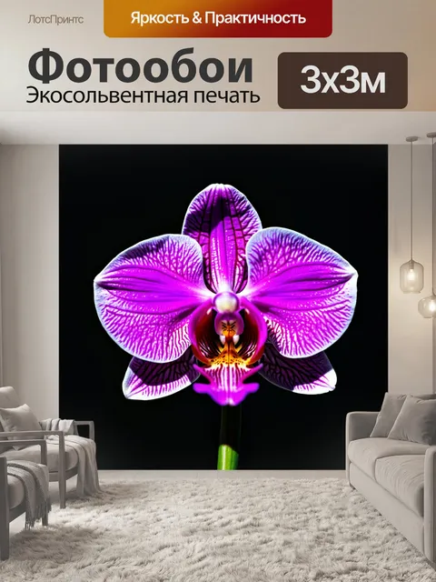 Фотообои орхидея в тени, создающая загадочный образ