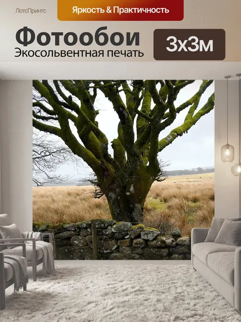 Фотообои Дерево
