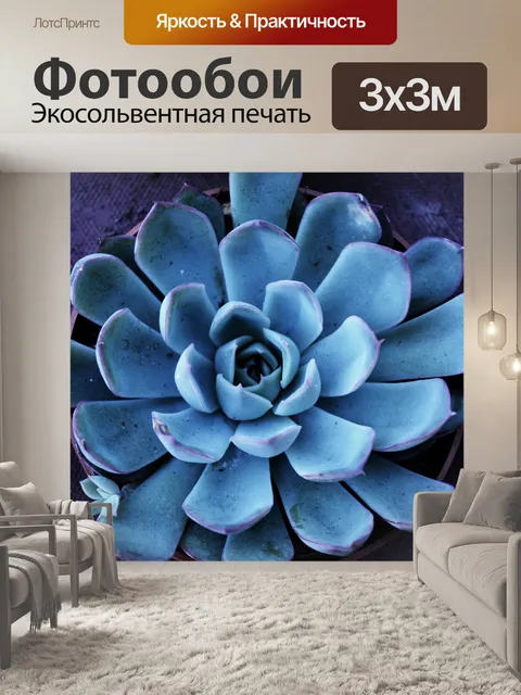 Фотообои Агавы