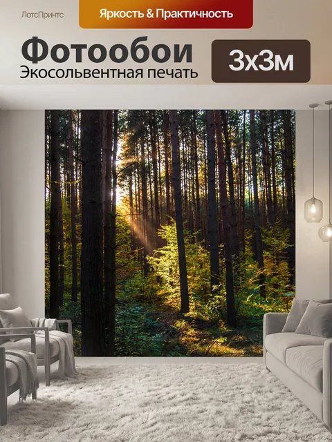 Фотообои Лес