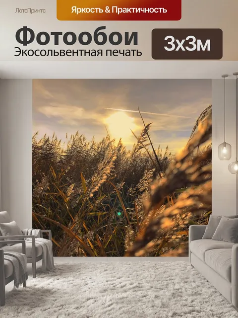 Фотообои Закат