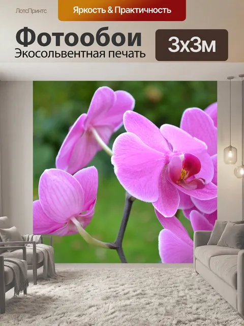 Фотообои Цветы