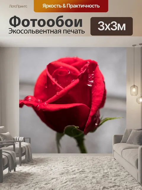 Фотообои Розовые лепестки