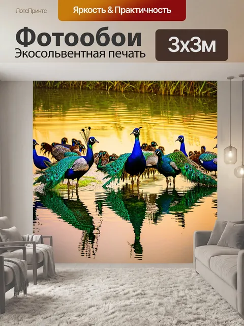 Фотообои группа павлинов, собирающихся у водоема в зоопарке, отражающаяся в воде