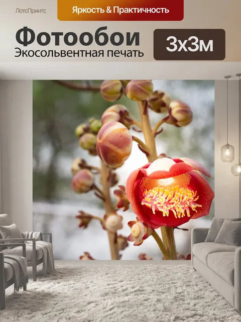 Фотообои Цветок