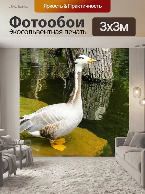 Фотообои Животное