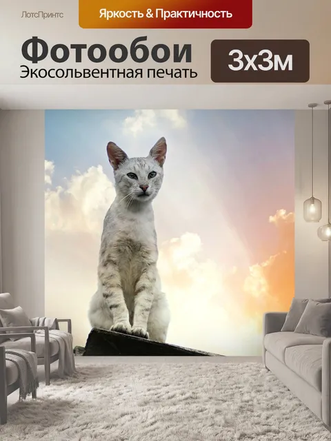 Фотообои Кошка