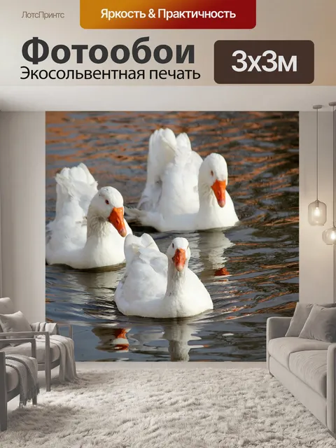 Фотообои Гусь
