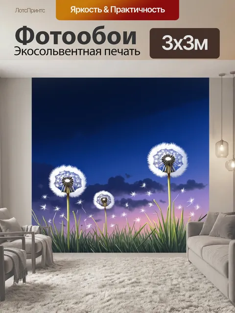 Фотообои одуванчики на фоне вечернего неба