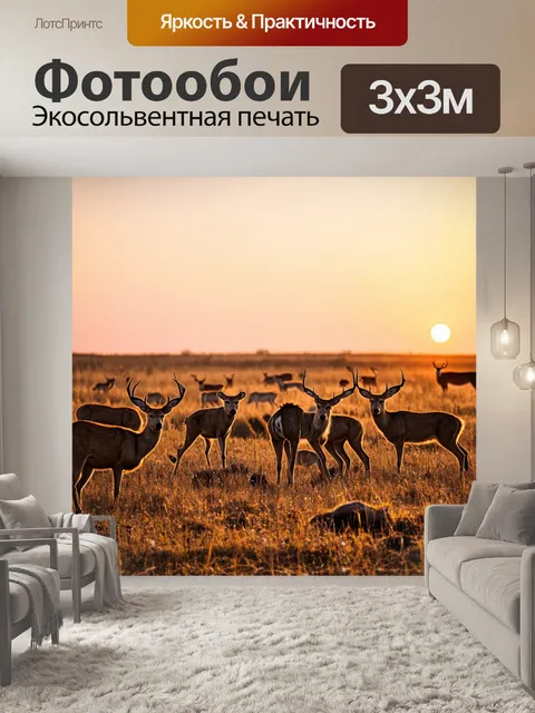 Фотообои охота на заброшенном поле, где дикие животные собираются во время заката