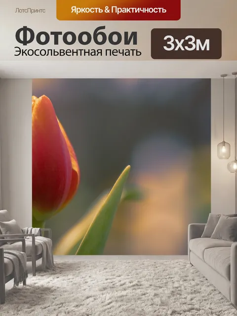 Фотообои Тюльпан