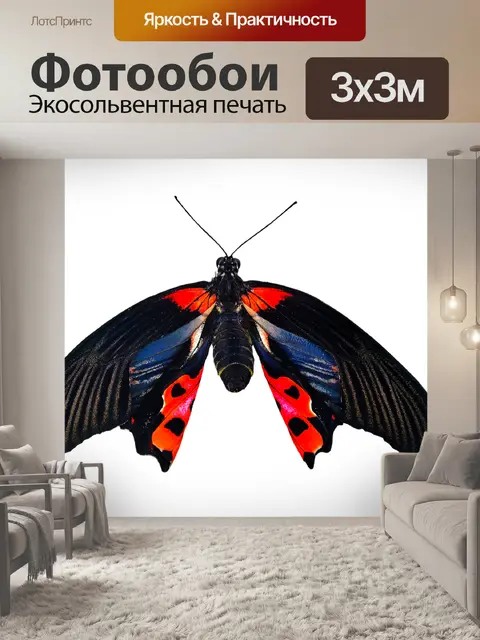 Фотообои Природа