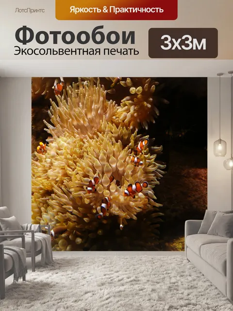 Фотообои Немо