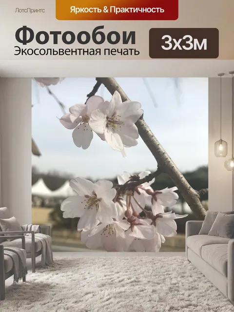 Фотообои Корея