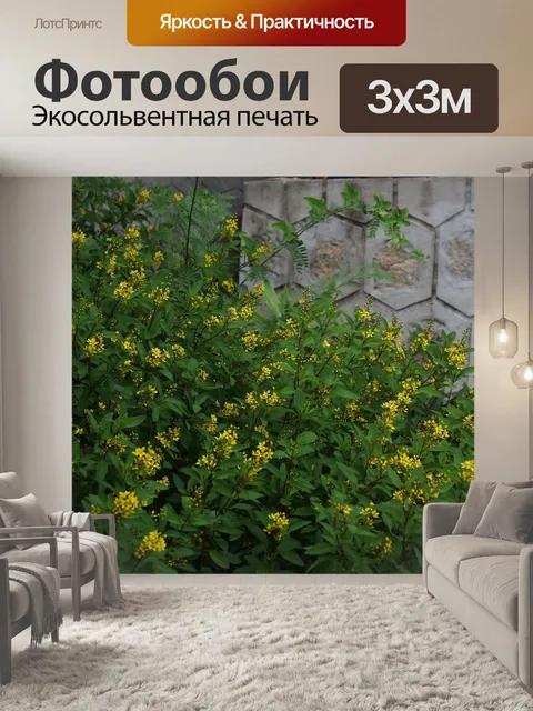 Фотообои Цветы