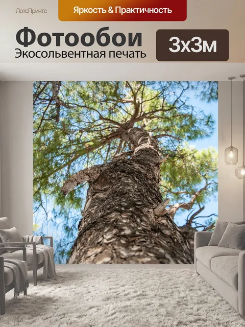 Фотообои Ладонь