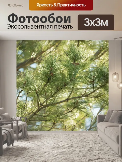 Фотообои Сосны