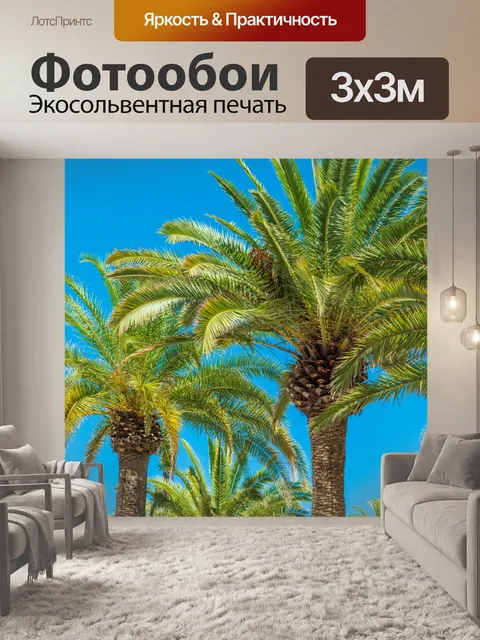 Фотообои Пальмы и голубое небо