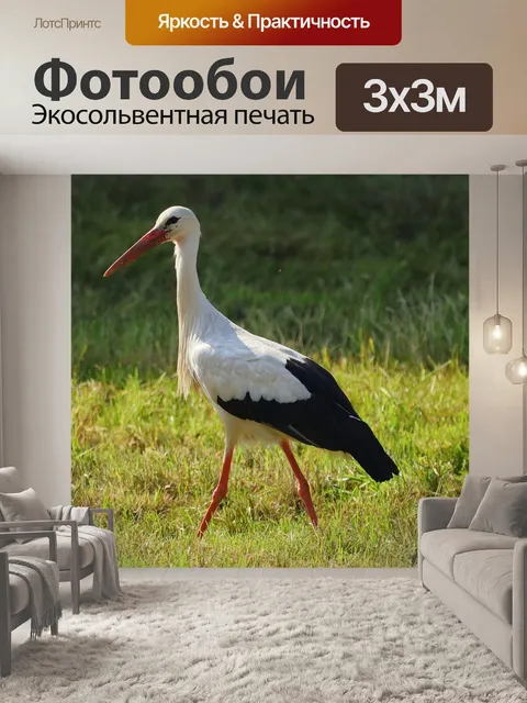 Фотообои Аист