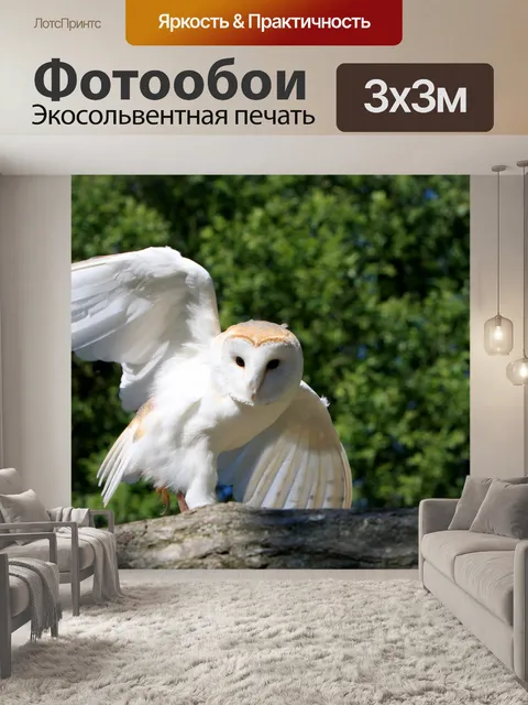 Фотообои Сипуха