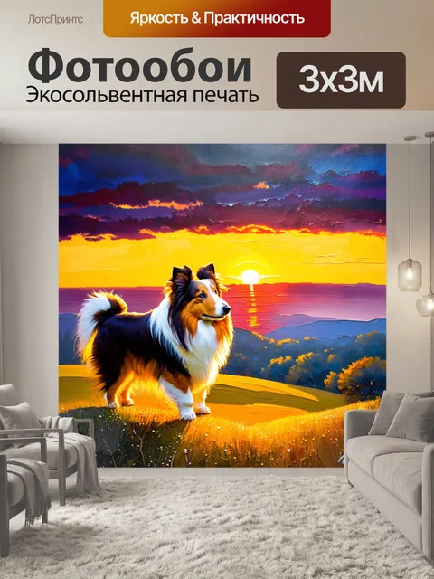 Фотообои шелти, стоящая на холме и смотрящая в даль, где виден яркий закат