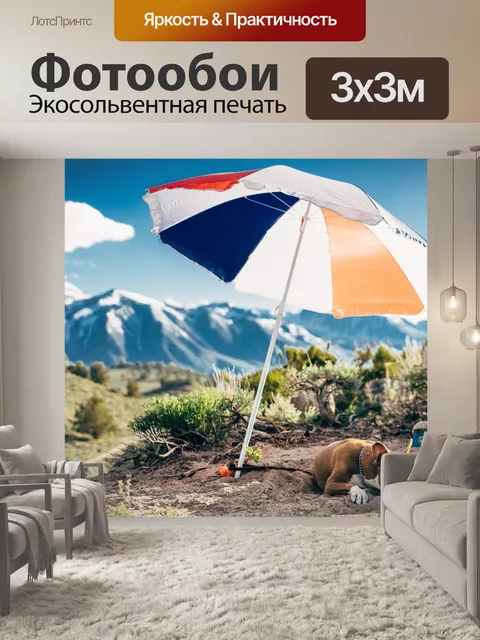 Фотообои Зонтик